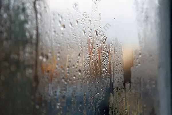 梅雨？霉雨？何不霉？